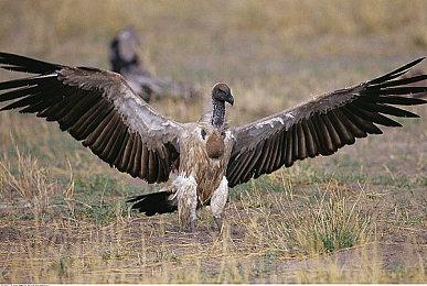 《蜡笔小新 我与博士的暑假》PS4实体版2023年1月26日发售