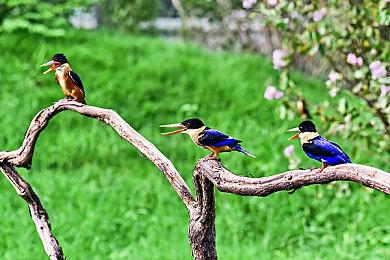 《最终幻想起源：天堂的陌生人》新演示和截图公开