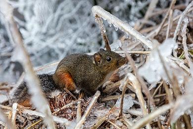 Sensor Tower：9月中国手游发行商全球收入排行榜